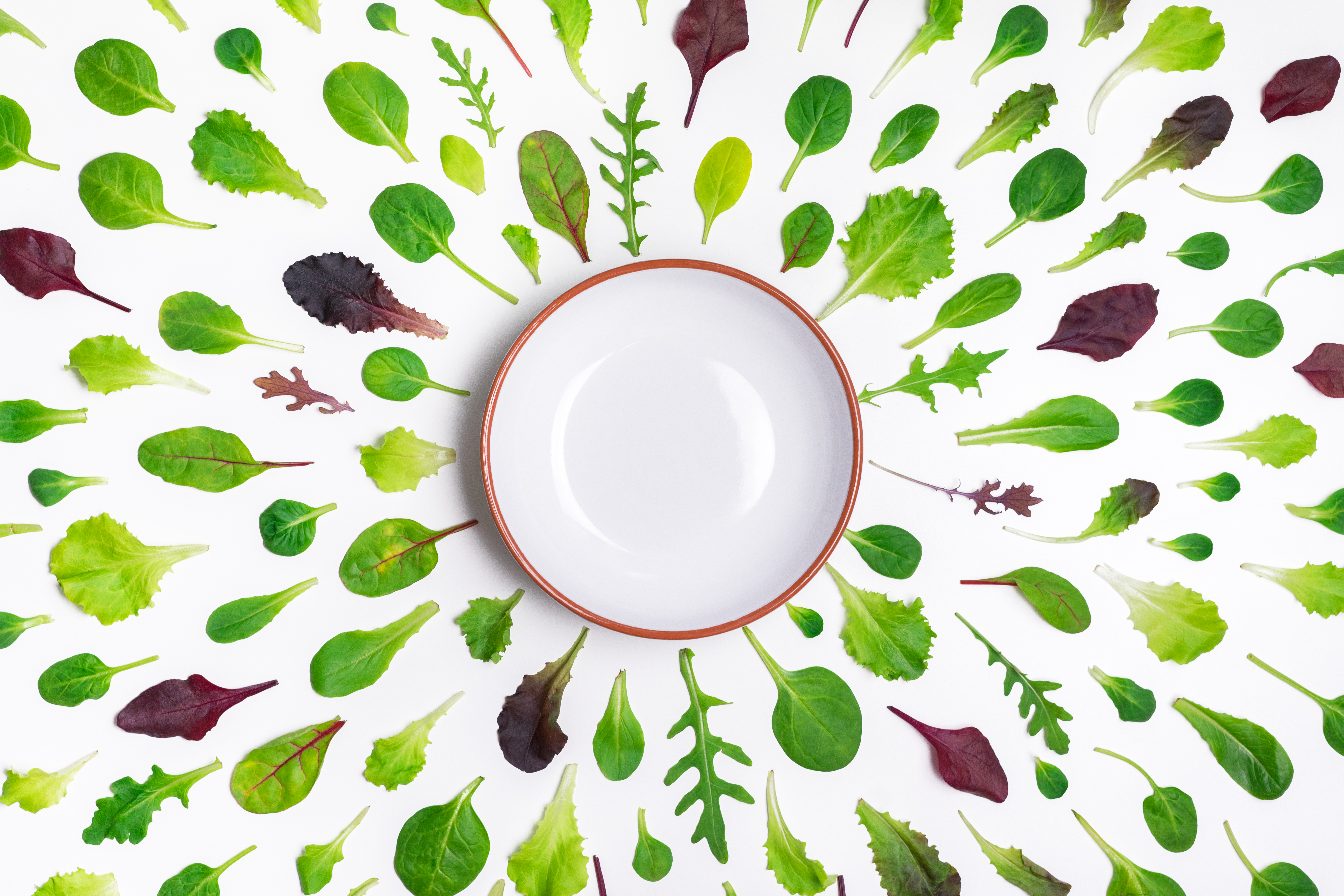 Spring background with salad leaves